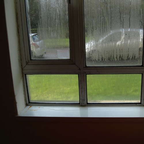 Condensation on window