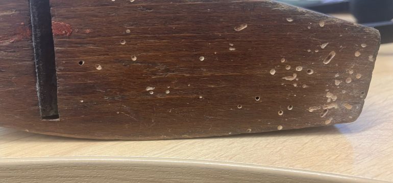 Damaged furniture from Woodworm