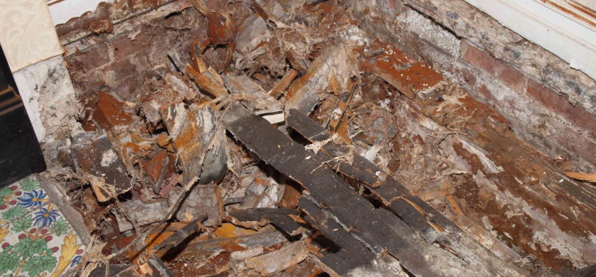 Dry rot decays floor in a house