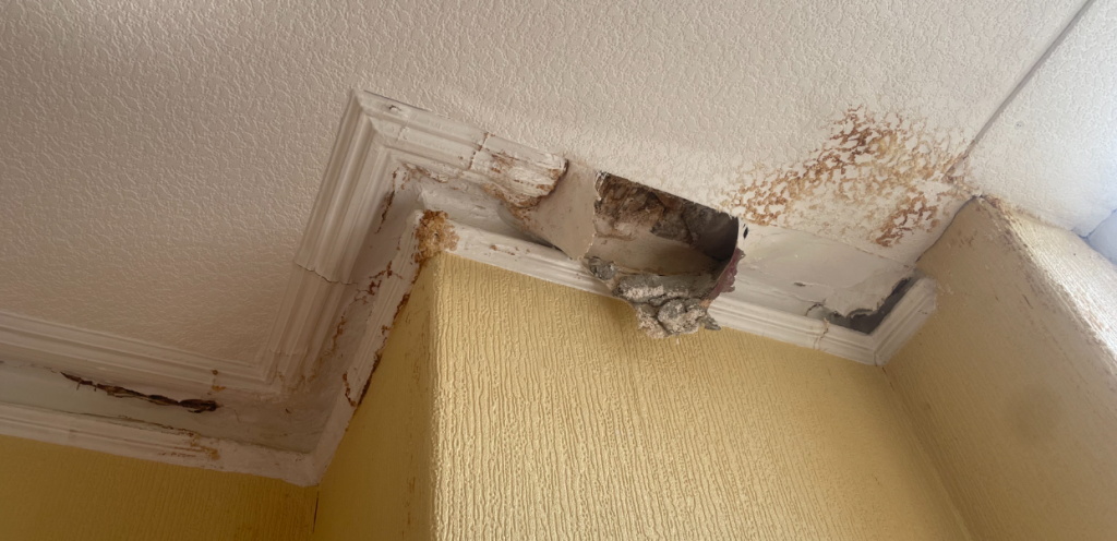 Moisture ingress roof by penetrating damp