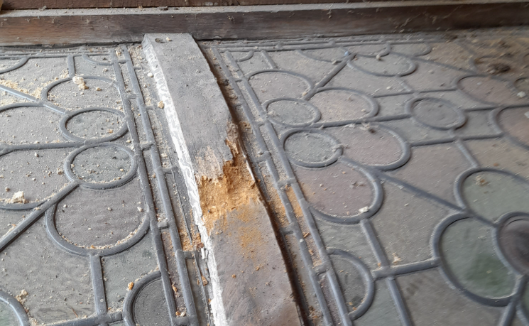 Woodworm damage on a house floor