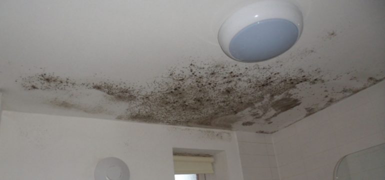 Extensive black mold and damp patches spreading across a white bedroom ceiling.