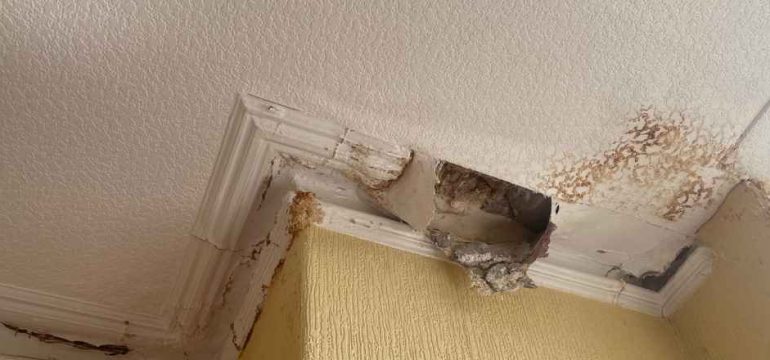 Damp on ceiling wall