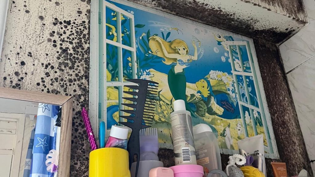 Severe black mold and damp patches spreading on a bathroom wall surrounding a decorative mermaid picture