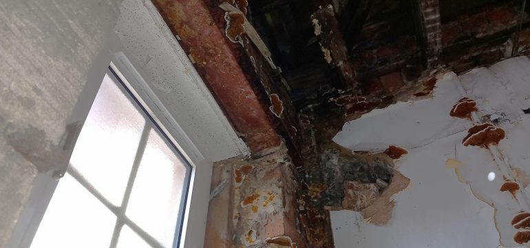 Dry Rot in Historic Buildings