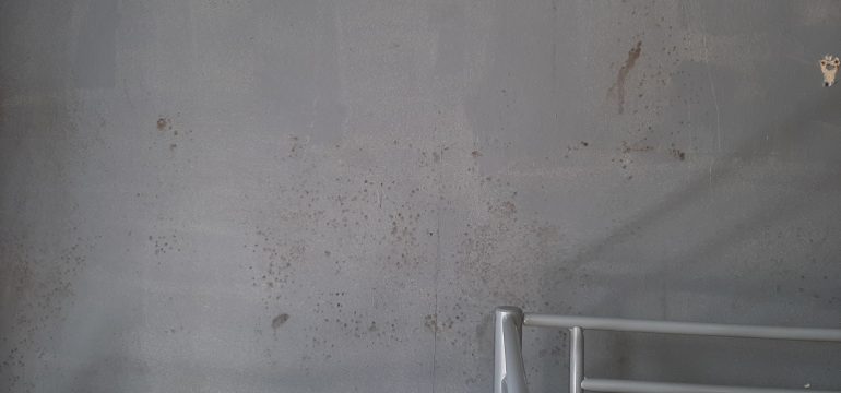 White wall with mould spots