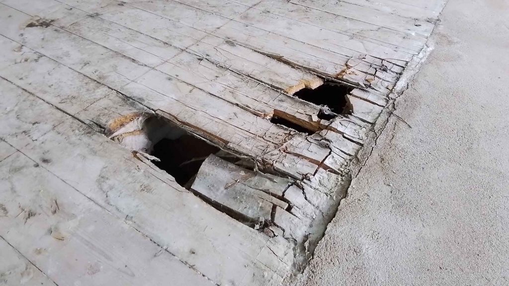 extensive timber damage on wooden floorboards