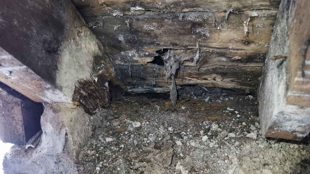 damaged timber beam with decayed wood and crumbling debris from wet rot
