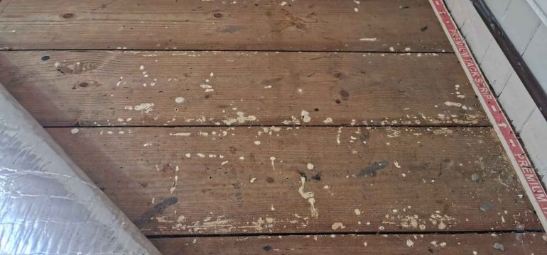 close-up of stained, weathered wooden floorboards with white paint splatters and signs of active woodworm.