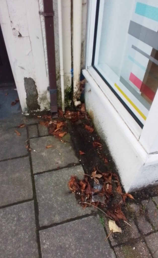 A street corner with fallen leaves, dirty pavement, and drainage pipes beside a shop window with colourful stripes. The wall paint is peeling and there are signs of water damage at the building’s base.