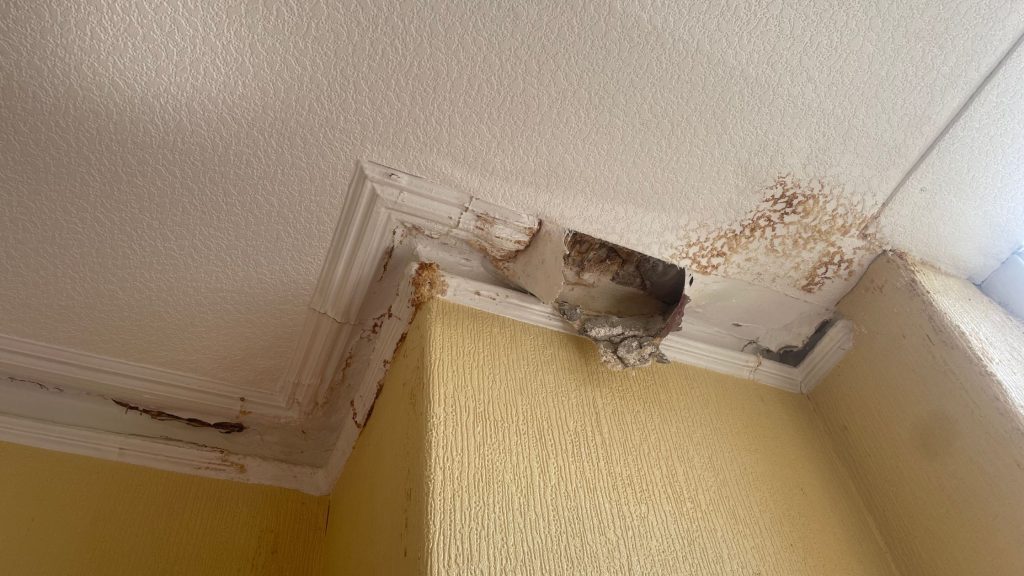Ceiling damaged from water ingress